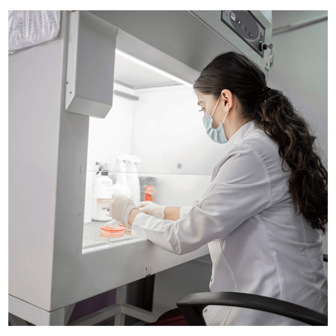 Investigaciones microbiológicas en laboratorio especializado.