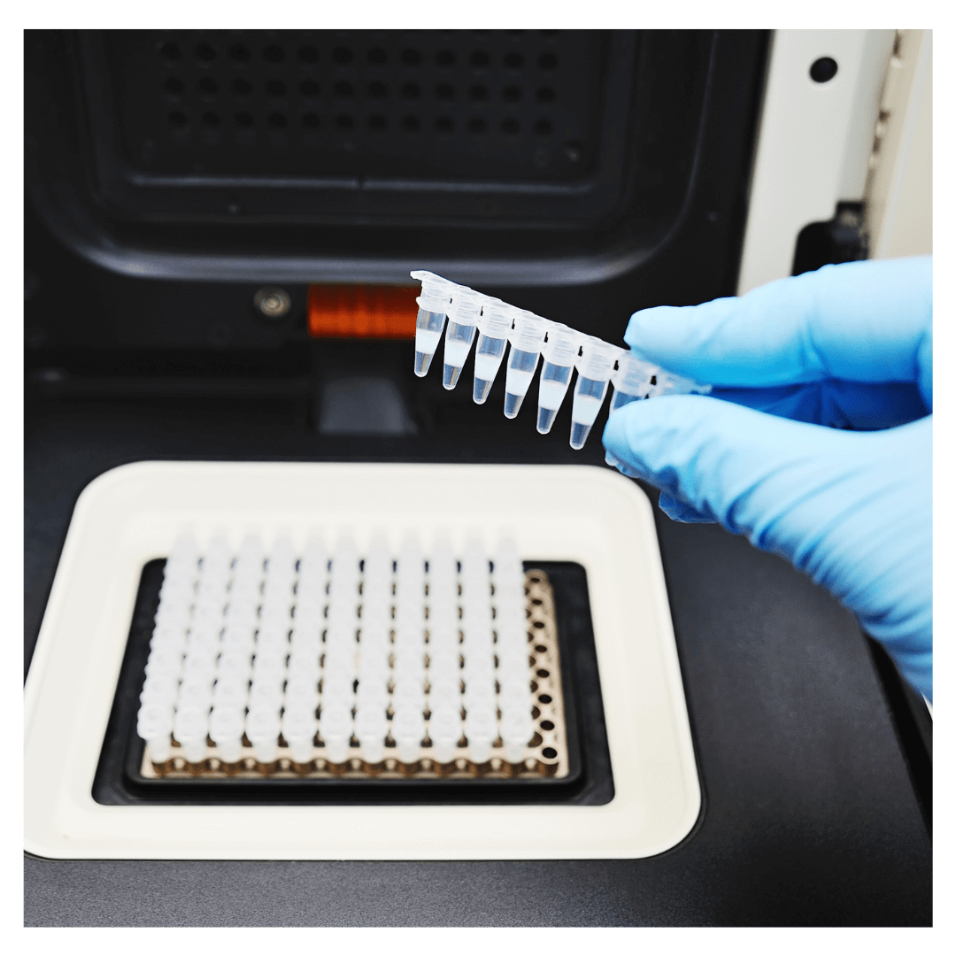 Equipos de PCR en tiempo real utilizados para amplificación genética.